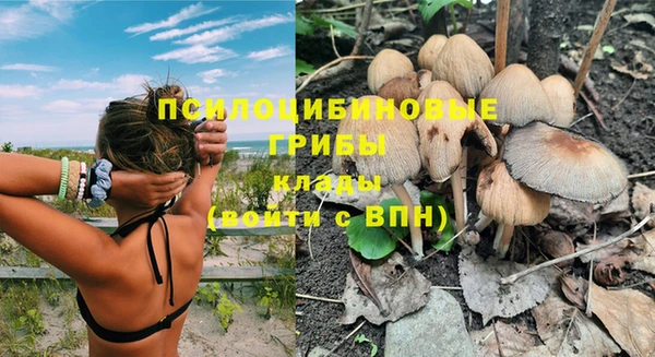 марихуана Нефтекумск