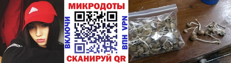 Псилоцибиновые грибы MAGIC MUSHROOMS  где найти   Лосино-Петровский 